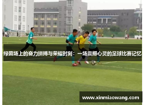 绿茵场上的奋力拼搏与荣耀时刻：一场震撼心灵的足球比赛记忆