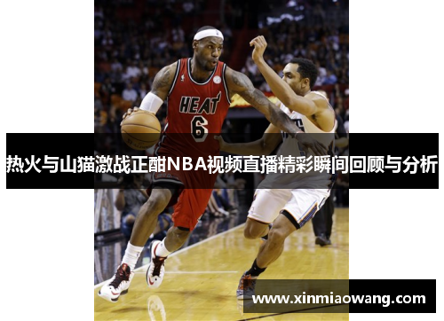 热火与山猫激战正酣NBA视频直播精彩瞬间回顾与分析