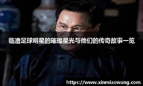 临澧足球明星的璀璨星光与他们的传奇故事一览