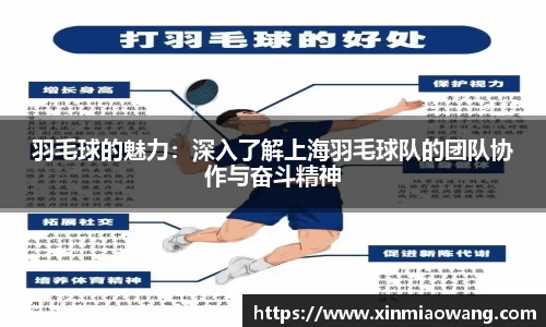 羽毛球的魅力：深入了解上海羽毛球队的团队协作与奋斗精神